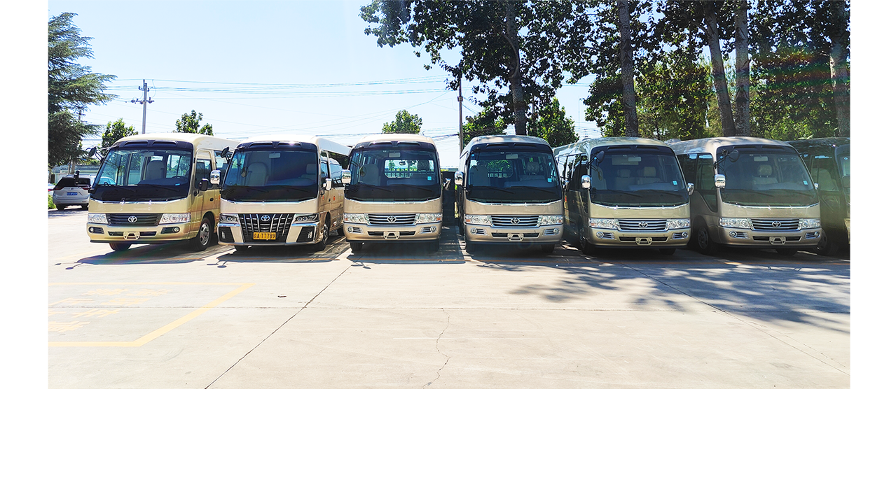 22 seater coaster bus